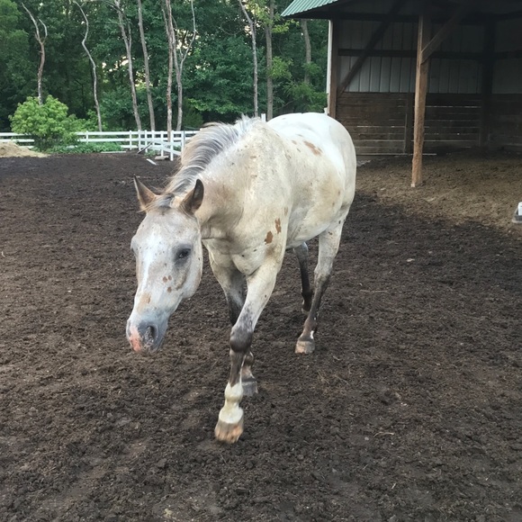 Meet your Posher, Erica - Picture 3 of 3